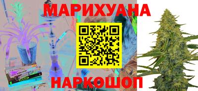 индика Гай