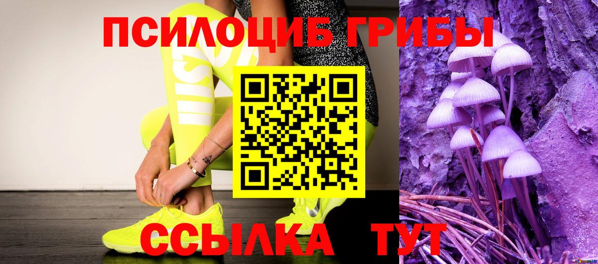 Псилоцибиновые грибы Cubensis Дзержинск