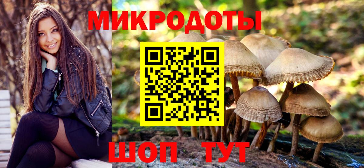 Дзержинск  Галлюциногенные грибы Psilocybine cubensis  Галлюциногенные грибы ЛСД  Вход с VPN 
